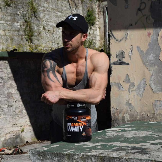 proteini športna prehrana proteini