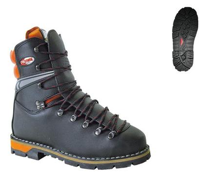 delovni čevlji s kapico delovni čevlji s kapico