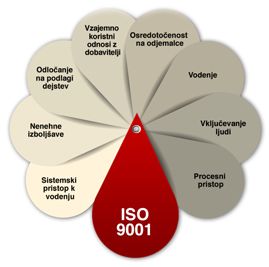 standard iso 9001