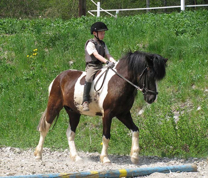 Jahalna šola Jahalna šola v Sloveniji