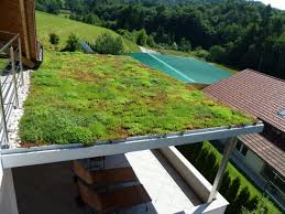 Zelena streha zelenitev