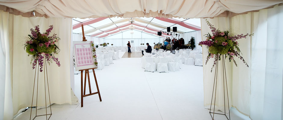 Plesišče Plesišče