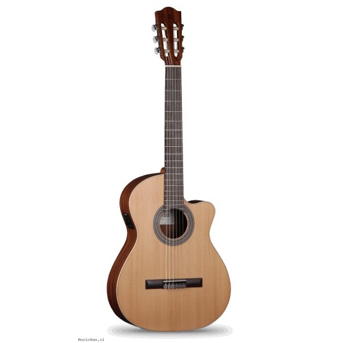 Prodaja kitar in opreme za kitare