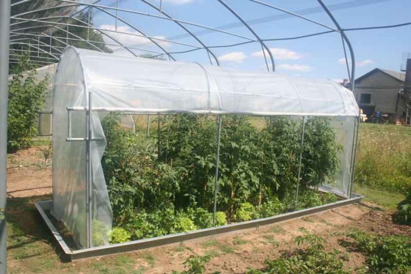 pvc folija za rastlinjak pvc folija za rastlinjak za paradižnik