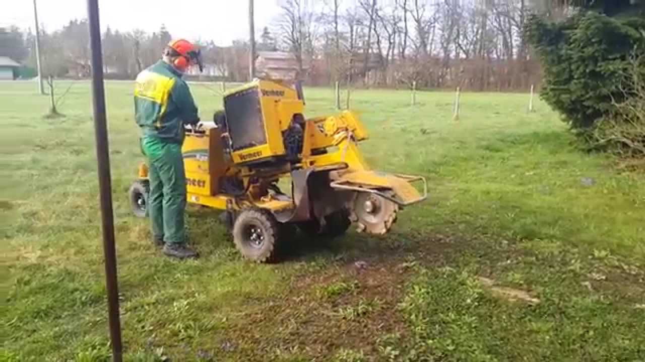 Obrezovanje grmovnic