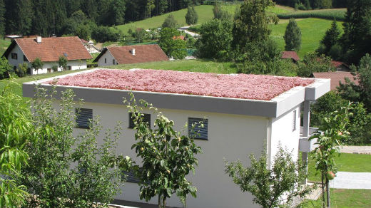 Izdelava zelene strehe Zelene strehe v Sloveniji