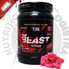 najbolji no reaktori koji su najbolji no reaktori