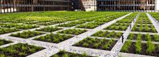 Zelena streha – različna sestava za izdelavo ozelenjene strehe