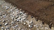Okrasno drevje in grmovnice – za okrasne rastline je potrebno skrbeti!
