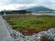 Zelena streha poskrbi za vašo izboljšano kvaliteto bivanja